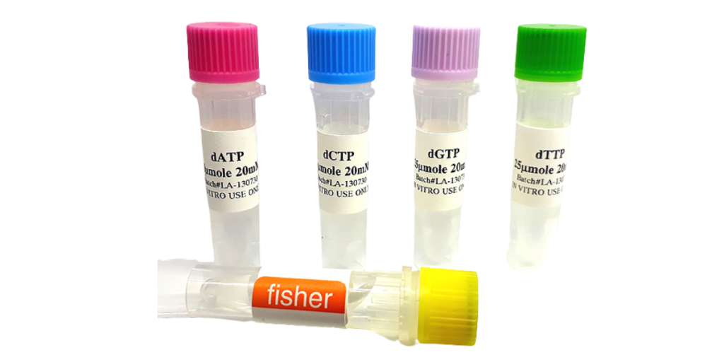 nucleotides for pcr