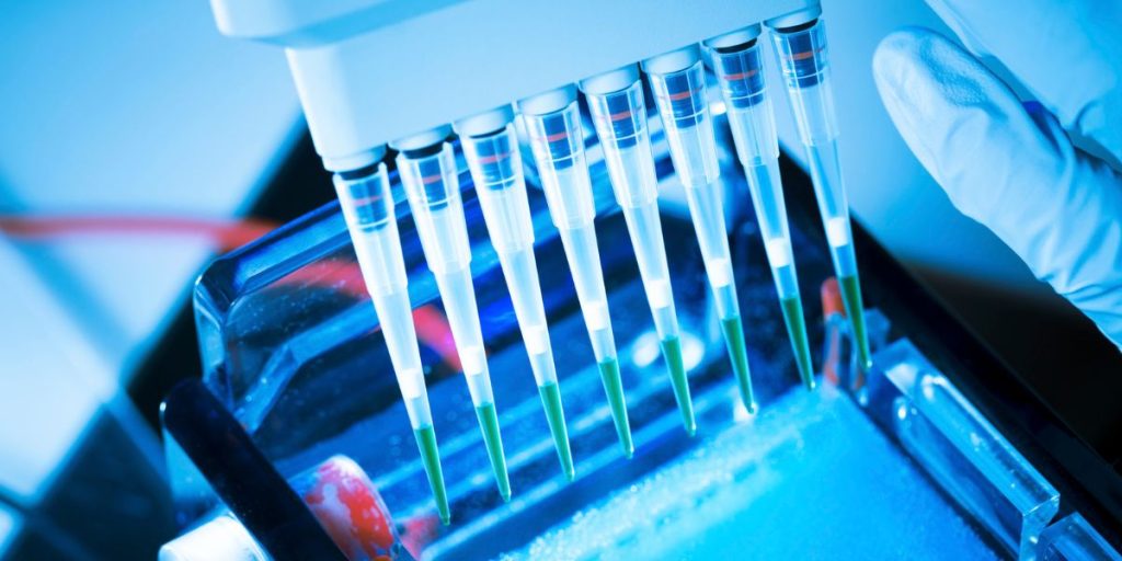 gel electrophoresis